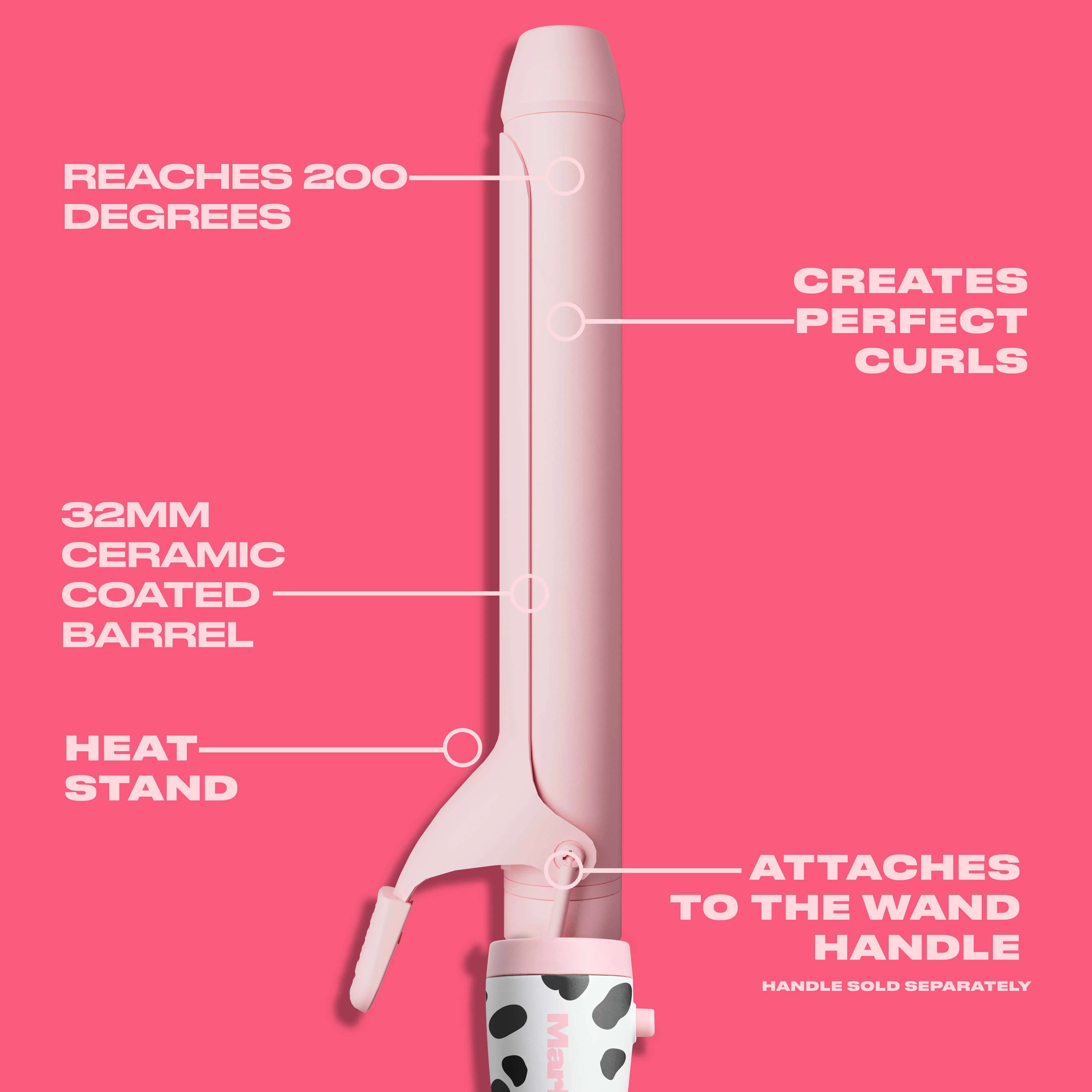 Dalmatian Starter Kit - Image 3