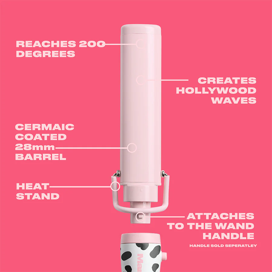 Dalmatian Starter Kit - Image 7